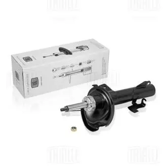 Амортизатор TRIALLI AG 25351
