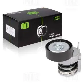 Ролик привод. ремня с натяж. мех. для а/м skoda rapid (12-) TRIALLI CM 1804