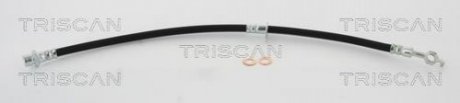 Тормозной шланг TRISCAN 8150 13130 (фото 1)