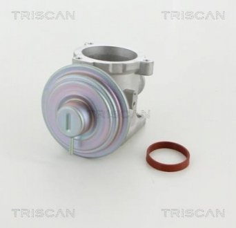 Клапан возврата ог TRISCAN 8813 11003 (фото 1)