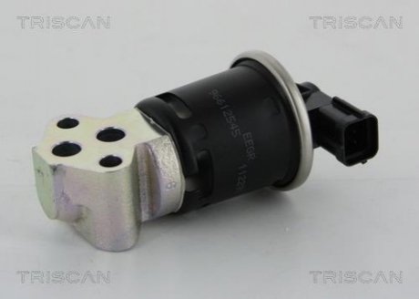 Клапан возврата ог TRISCAN 8813 21008 (фото 1)