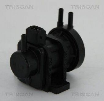 Клапан повернення вог TRISCAN 8813 24052 (фото 1)