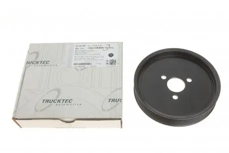 Ременный шкив, насос гидроусилителя. TRUCKTEC AUTOMOTIVE 02.19.256