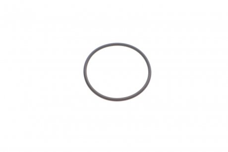 Уплотнительное кольцо TRUCKTEC AUTOMOTIVE 02.67.254 (фото 1)
