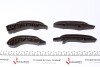 Комплект ланцюга ГРМ BMW 3 (F34)/X1 (F48)/X4 (F98) 1.5D/1.6D/2.0D 12- TRUCKTEC AUTOMOTIVE 08.12.074 (фото 2)