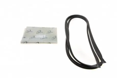 Прокладка, вітрове скло TRUCKTEC AUTOMOTIVE 01.50.018