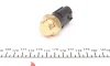 Датчик включения вентилятора vw caddy iii 1.4-2.0sdi 04-15 (85°c-90°c) TRUCKTEC AUTOMOTIVE 07.42.079 (фото 4)