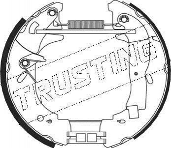 Комплект тормозных колодок, дисковый тормоз TRUSTING 534.0 (фото 1)
