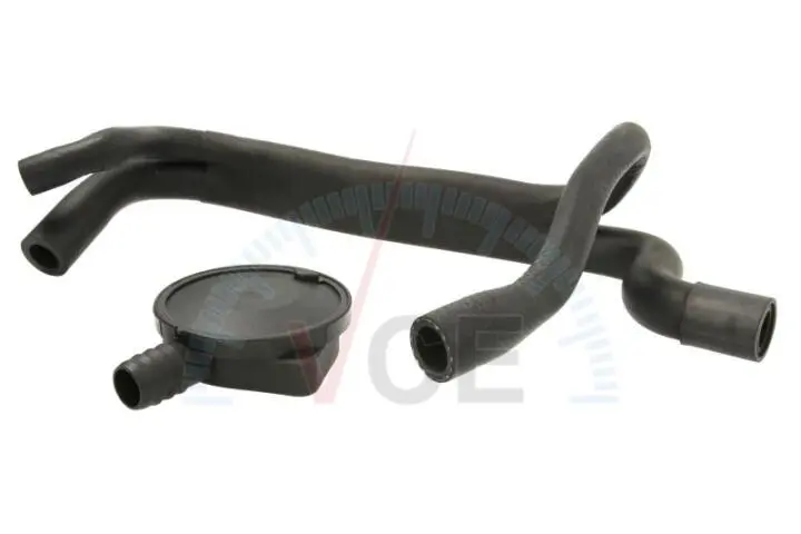 Сепаратор олії VAICO V201920 (фото 1)