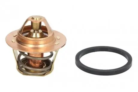 Термостат, охлаждающая жидкость CALORSTAT by Vernet TH0963.86J