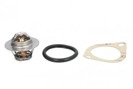 Термостат, охлаждающая жидкость CALORSTAT by Vernet TH5977.92J