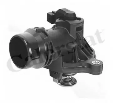 Термостат, охлаждающая жидкость CALORSTAT by Vernet TH6873.105J