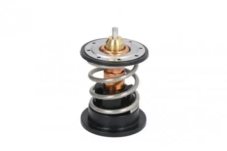 Термостат, охлаждающая жидкость CALORSTAT by Vernet TH7287.87