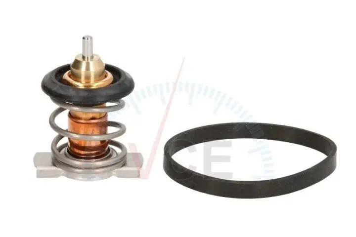 Термостат, охолоджуюча рідина CALORSTAT by Vernet TH9241.88J (фото 1)