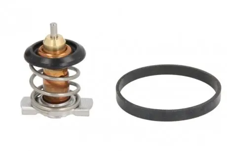 Термостат, охлаждающая жидкость CALORSTAT by Vernet TH9283.88J