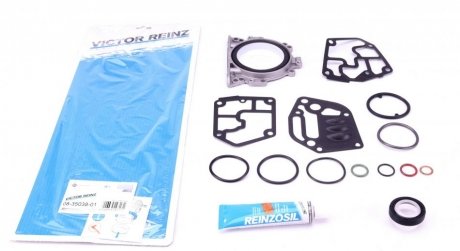 Комплект прокладок, блок-картер двигателя VICTOR REINZ 08-35038-01 (фото 1)