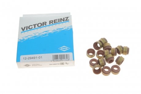 Комплект прокладок, стрижень клапана VICTOR REINZ 12-29491-01