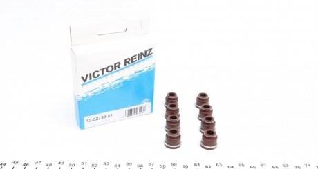 Комплект прокладок, стрижень клапана VICTOR REINZ 12-52733-01 (фото 1)