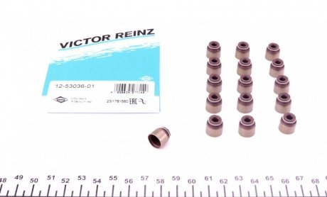 Комплект прокладок, стрижень клапана VICTOR REINZ 12-53036-01