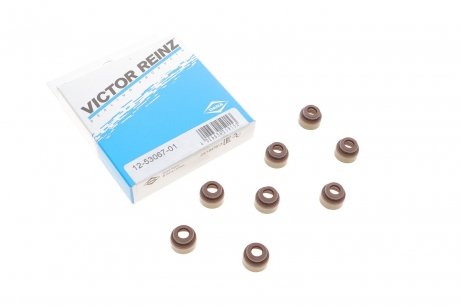 Комплект прокладок, стрижень клапана VICTOR REINZ 12-53067-01 (фото 1)