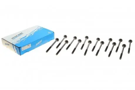 Комплект болтов головки цилидра VICTOR REINZ 14-10017-01