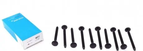 Комплект болтов головки цилидра VICTOR REINZ 14-11002-01