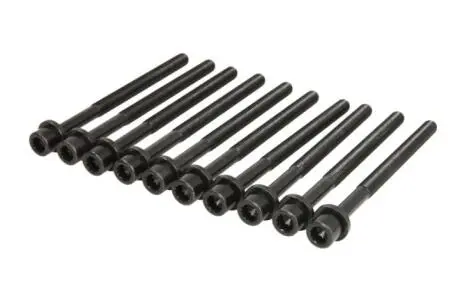 Болты головки блока цилиндров VICTOR REINZ 14-12061-01