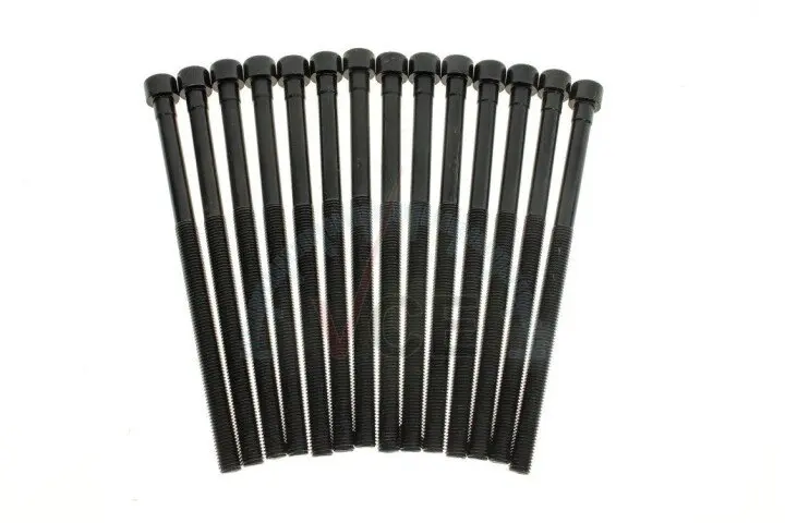 Комплект болтов гбц (14шт) BMW 3 (F30/F80)/5 (G30/F90)/X3 (G01/F97) 15- B46/B48 VICTOR REINZ 14-12261-03 (фото 1)