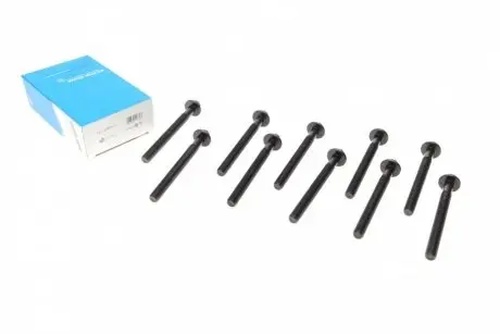 Комплект болтов головки цилидра VICTOR REINZ 14-12457-01