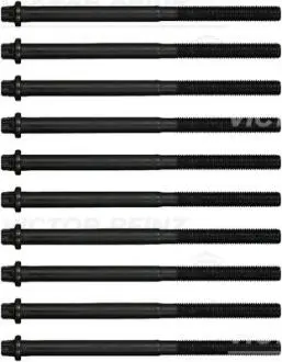 Комплект болтов головки цилидра VICTOR REINZ 14-17059-01