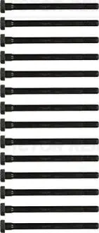 Комплект болтов головки цилидра VICTOR REINZ 14-32000-02