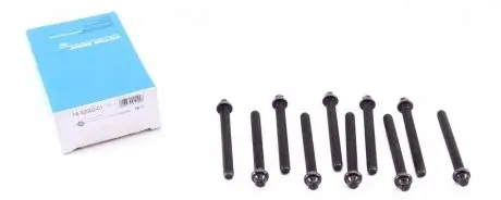 Комплект болтов головки цилидра VICTOR REINZ 14-32002-01