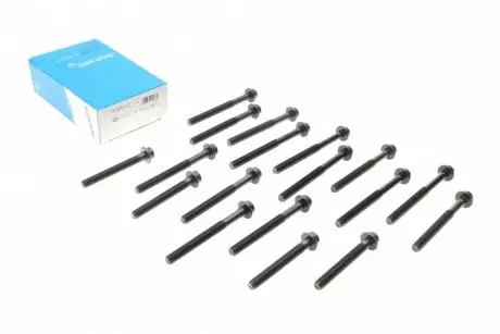 Комплект болтов головки цилидра VICTOR REINZ 14-32031-01