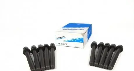 Комплект болтов головки цилидра VICTOR REINZ 14-32047-01