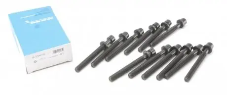 Комплект болтов головки цилидра VICTOR REINZ 14-32047-02