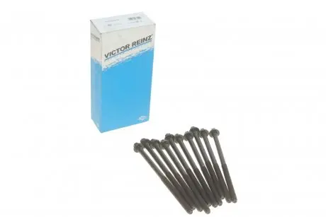 Комплект болтов головки цилидра VICTOR REINZ 14-32075-01