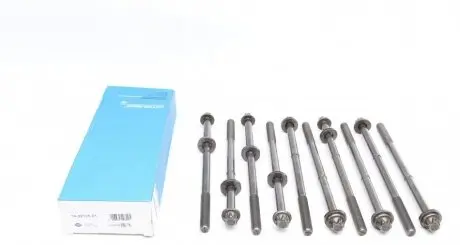 Комплект болтів головки цилідра VICTOR REINZ 14-32105-01