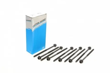 Комплект болтов головки цилидра VICTOR REINZ 14-32123-01