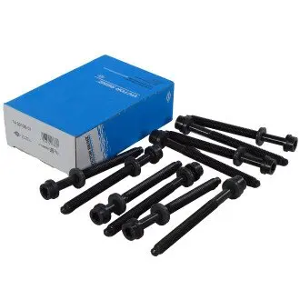 Комплект болтов головки цилидра VICTOR REINZ 14-32126-01