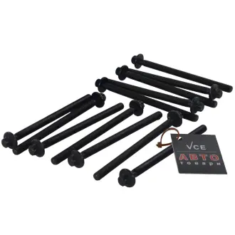 Комплект болтів головки цилідра VICTOR REINZ 14-32132-02