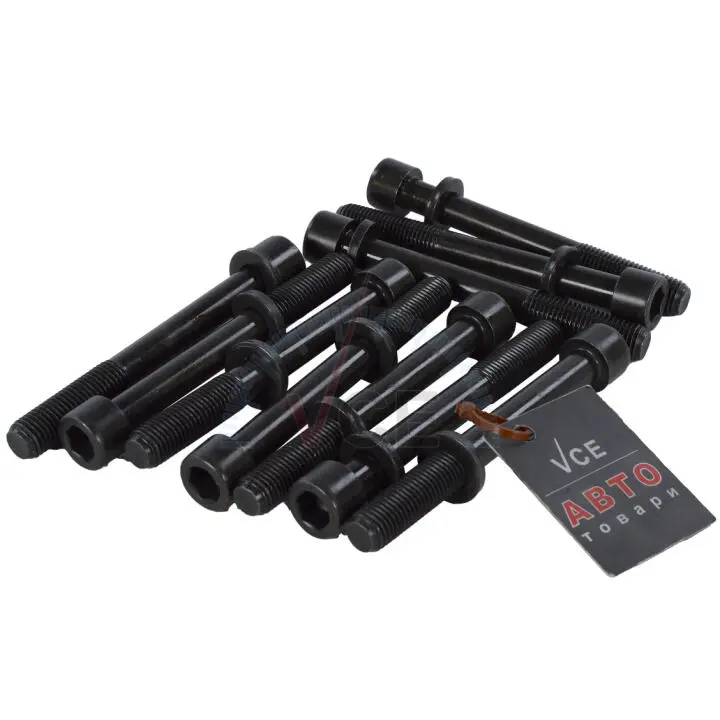 Комплект болтов головки цилидра VICTOR REINZ 14-32160-01 (фото 1)