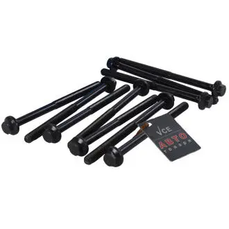 Комплект болтов головки цилидра VICTOR REINZ 14-32169-01