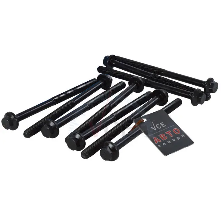 Комплект болтів головки цилідра VICTOR REINZ 14-32169-01 (фото 1)