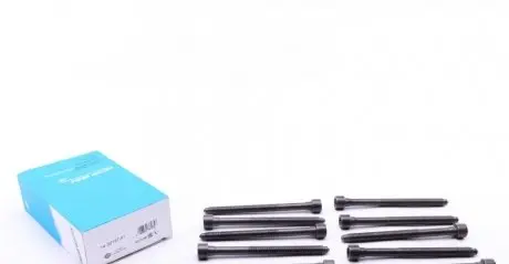 Комплект болтов головки цилидра VICTOR REINZ 14-32197-01