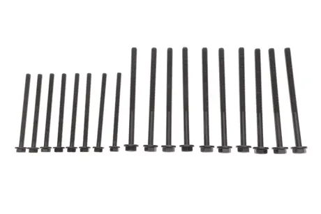 Комплект болтов головки цилидра VICTOR REINZ 14-32204-01