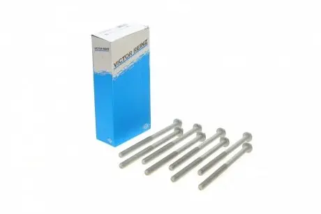 Комплект болтов головки цилидра VICTOR REINZ 14-32215-01