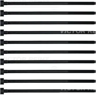 Комплект болтов головки цилидра VICTOR REINZ 14-32220-01