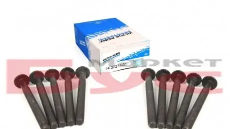 Комплект болтов головки цилиндра VICTOR REINZ 14-32231-01