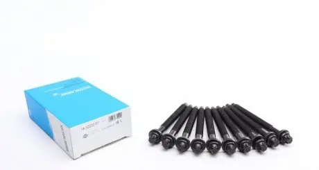 Комплект болтов головки цилидра VICTOR REINZ 14-32233-01