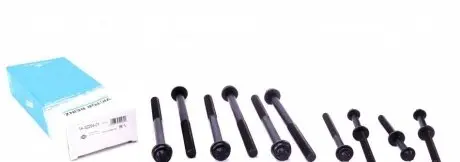 Комплект болтов головки цилидра VICTOR REINZ 14-32254-01